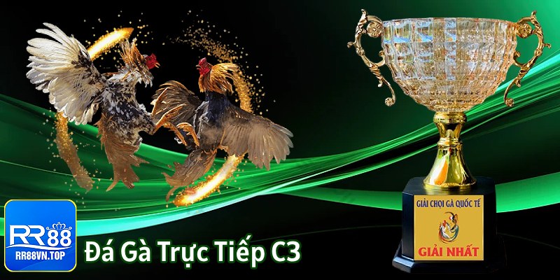 đá gà trực tiếp C3 giới thiệu